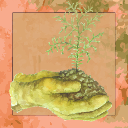 A watercolor illustration of a sapling sprouting from some soil held in someone's cupped hands.