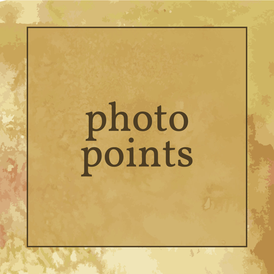 A watercolor image with text saying 'photo points'.
