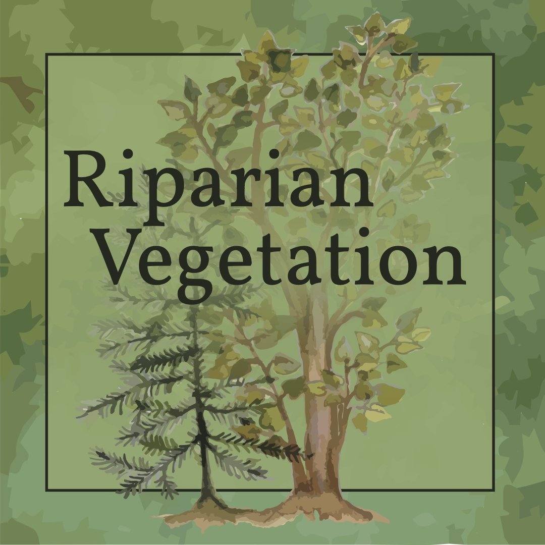 A watercolor image of two trees.