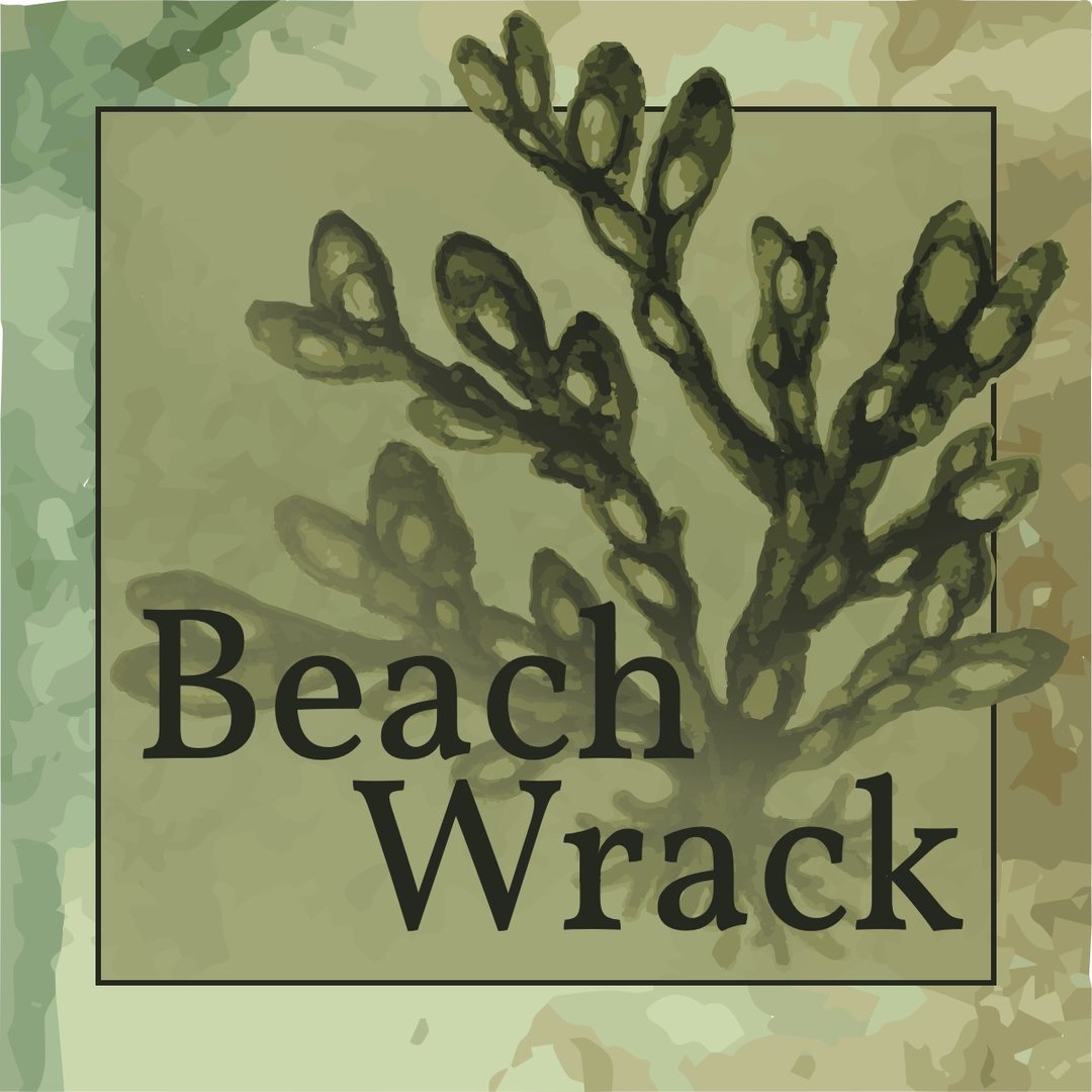 A watercolor image of algae.